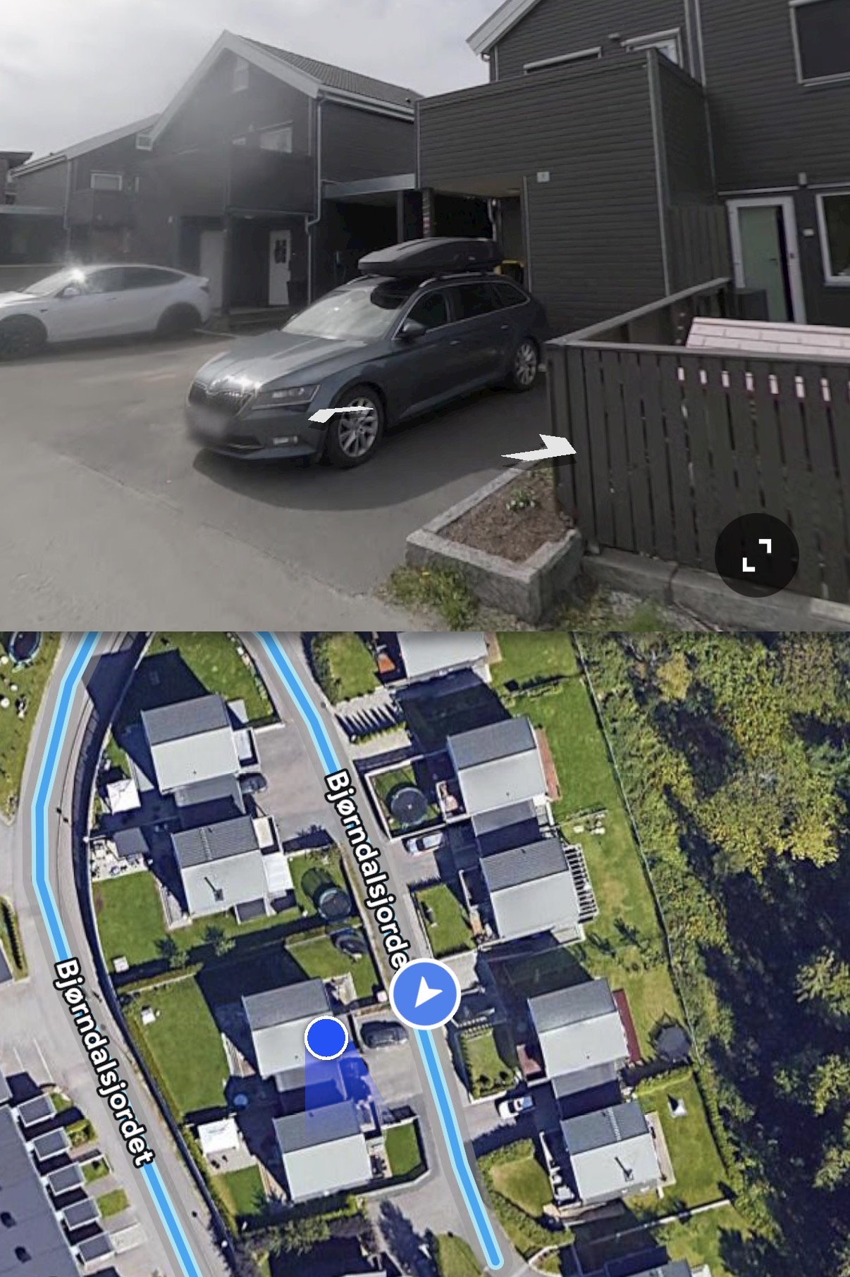 Bjørndal